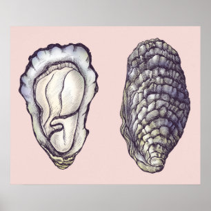 Affiche Oysters