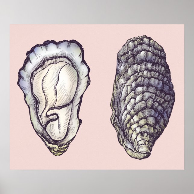 Affiche Oysters (Devant)