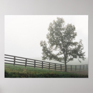 Affiche Ozarks Country Fog