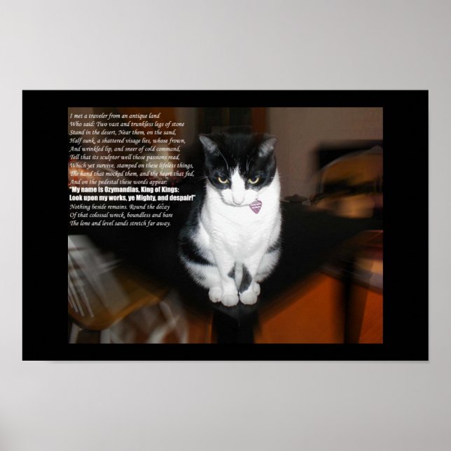 Affiche ozymandias (Devant)