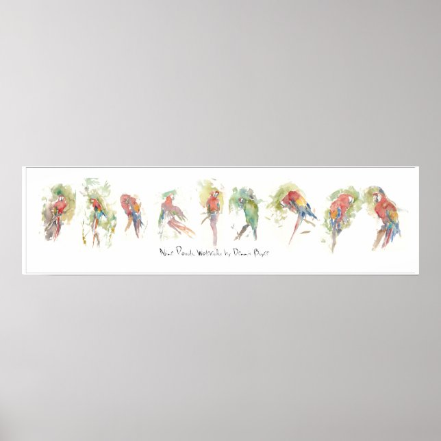 Affiche P3, Neuf perroquets, aquarelle par Dennis Boyce (Devant)