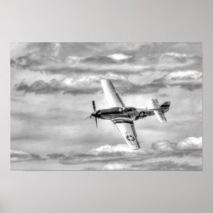 AFFICHE P-51