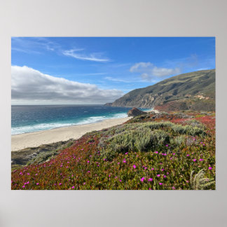 Affiche Pacific Coast