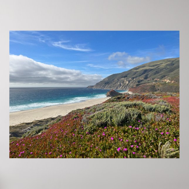 Affiche Pacific Coast (Devant)