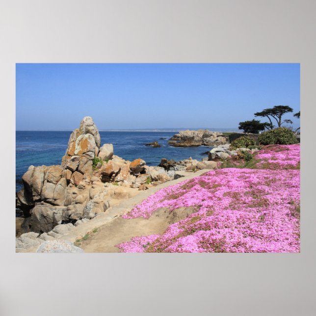 Affiche Pacific Grove (Devant)
