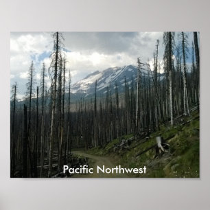 Affiche Pacific Northwest Back Road Beauté