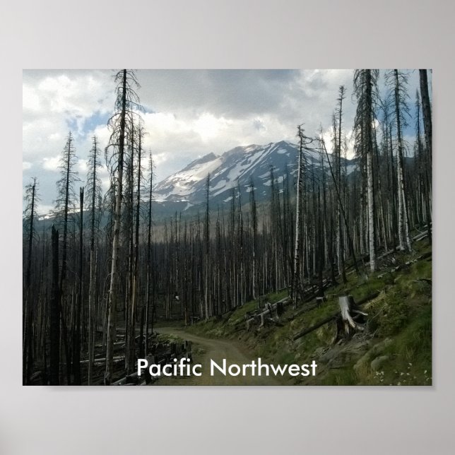 Affiche Pacific Northwest Back Road Beauté (Devant)
