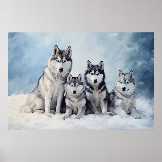 Affiche Pack Sibérien Husky (Devant)