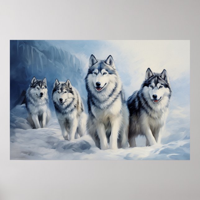 Affiche Pack Sibérien Husky (Devant)