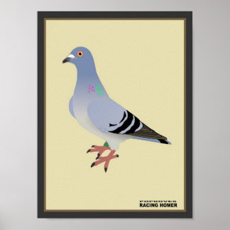 Affiche Page d'accueil de la course belge