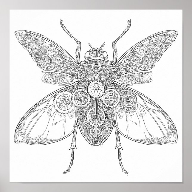 Affiche Page de coloriage adulte complexe : Insecte Steamp (Devant)