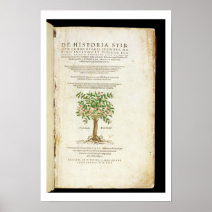 Affiche Page de titre de 'De Historia Stirpium Commentarii