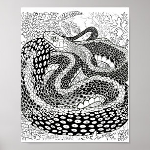 Affiche Page Gardener Snake Study Beyond the Skin Coloring