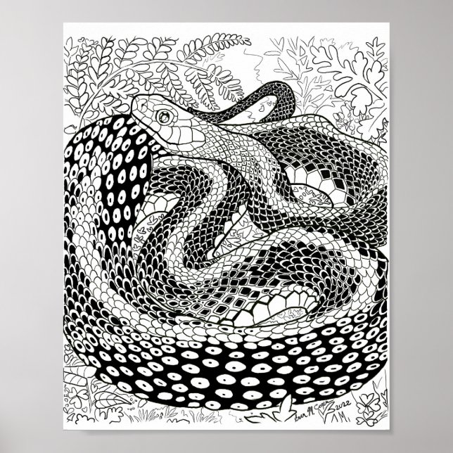 Affiche Page Gardener Snake Study Beyond the Skin Coloring (Devant)