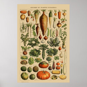 Affiche Page Livre Vintage en français de Légumes