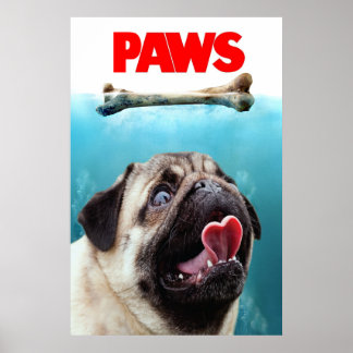 AFFICHE PAGES