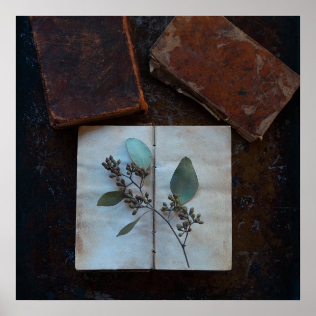 Affiche Pages de livres anciens avec des feuilles eucalypt (Devant)