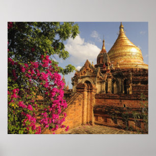 Affiche Pagode Dhamma Yazaka à Bagan (Pagan), Myanmar