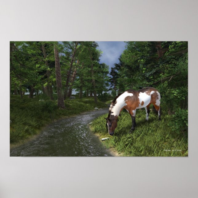 Affiche Paint Horse by the Forest Stream (Devant)
