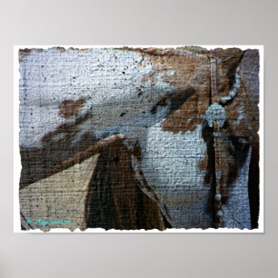 Affiche Paint Horse Crackle