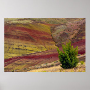 Affiche Painted Hills, Mitchell, Oregon, États-Unis