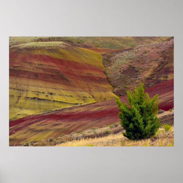Affiche Painted Hills, Mitchell, Oregon, États-Unis (Devant)