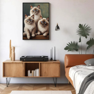 Affiche Paire adorable de Ragdoll Kittens Chat doux