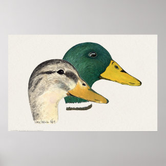 Affiche Paire de canards colverts (Drake et Hen)
