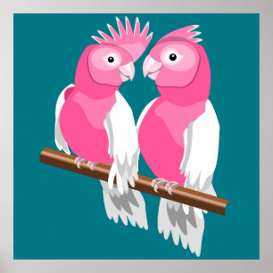 Affiche Paire de Galahs