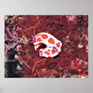 Affiche Paire de Nudis