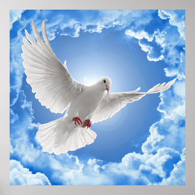 Affiche Paix (Devant)