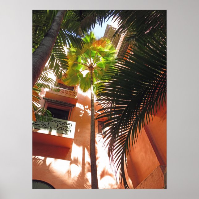 Affiche Palais rose (Devant)