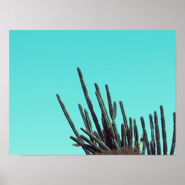 Affiche Pale Green Cactus Succulent minimalisme Plante (Devant)