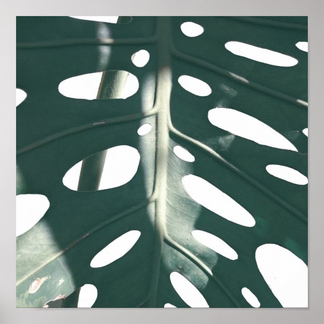 Affiche Pale Green Pastel Fromage Suisse Plante (Devant)