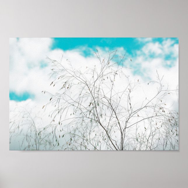 Affiche Pale Pastel Bleu clair Turquoise Arbre Bruns Sky (Devant)