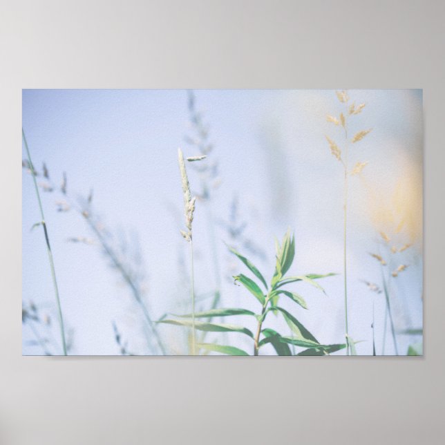 Affiche Pale Pastel Green Gris Reeds Meadow Sky (Devant)