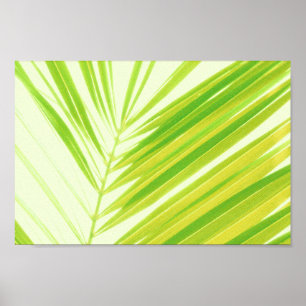 Affiche Pale Pastel Green Palm Tree Feuilles
