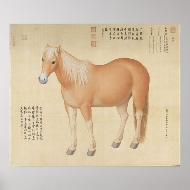 Affiche Palefroi Palomino Doré - Art Chinois Vintage (Devant)