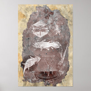 Affiche Paléozoïque