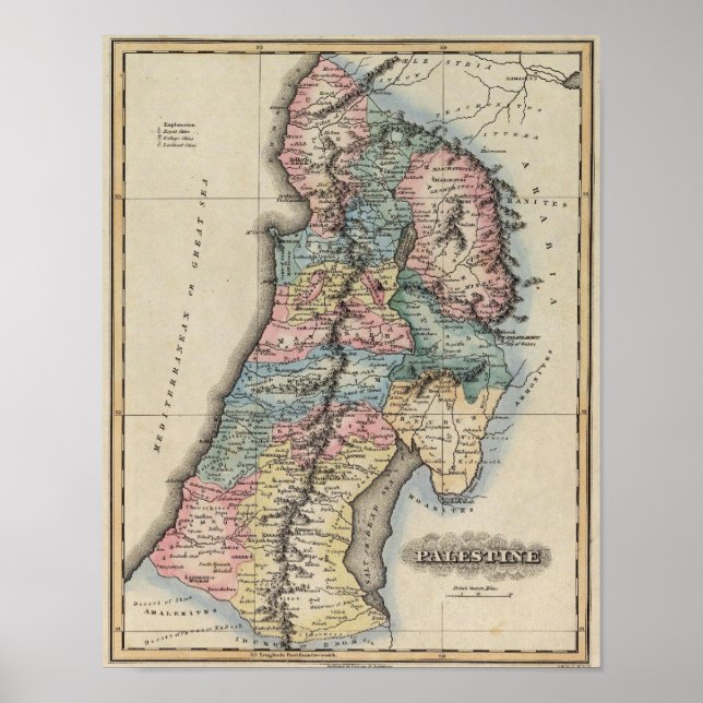 Affiche Palestine 2 (Devant)