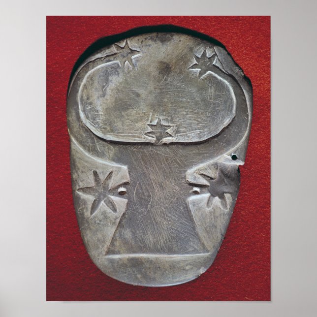 Affiche Palette de tête de Bull (Devant)