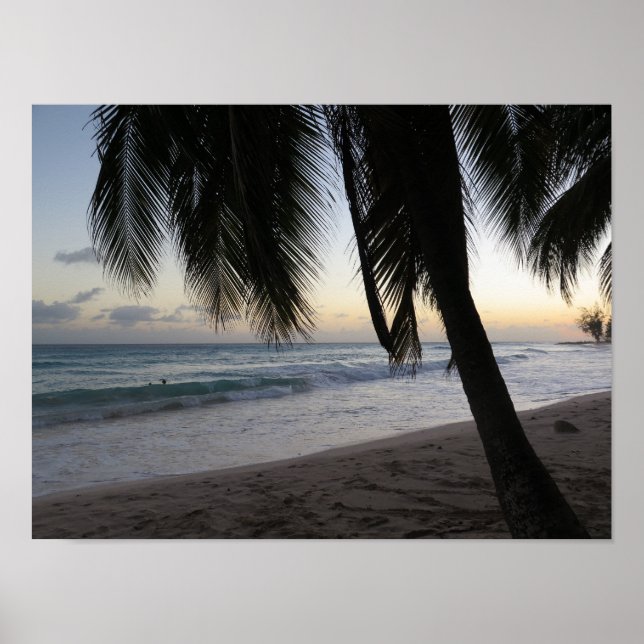 Affiche Palm Sunset Barbade (Devant)