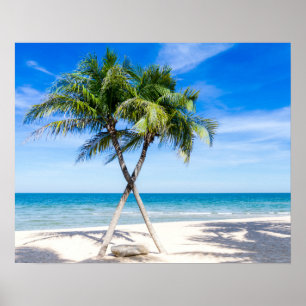 Affiche Palm tree beach tropical summer photo
