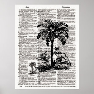 Affiche Palm Tree Dictionary Art