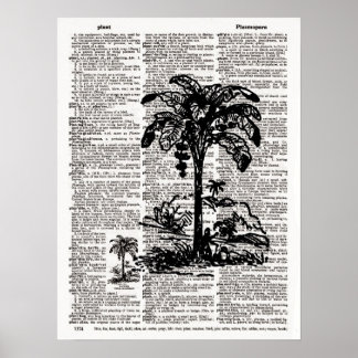 Affiche Palm Tree Dictionary Art