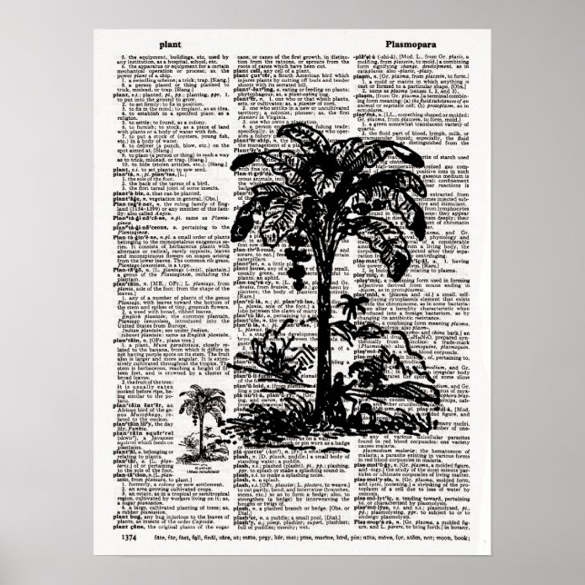 Affiche Palm Tree Dictionary Art (Devant)