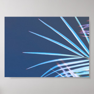 Affiche Palm Tree Leaves Minimalism Sketch