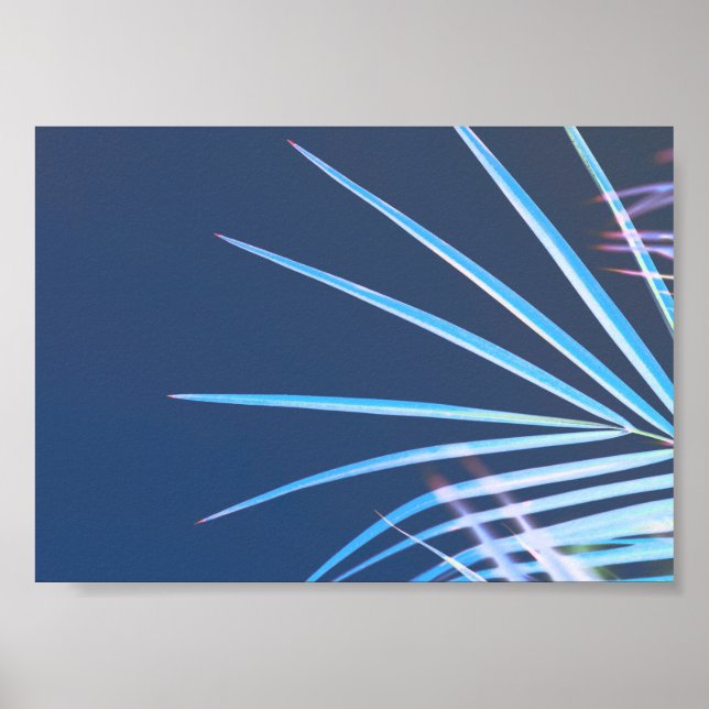 Affiche Palm Tree Leaves Minimalism Sketch (Devant)