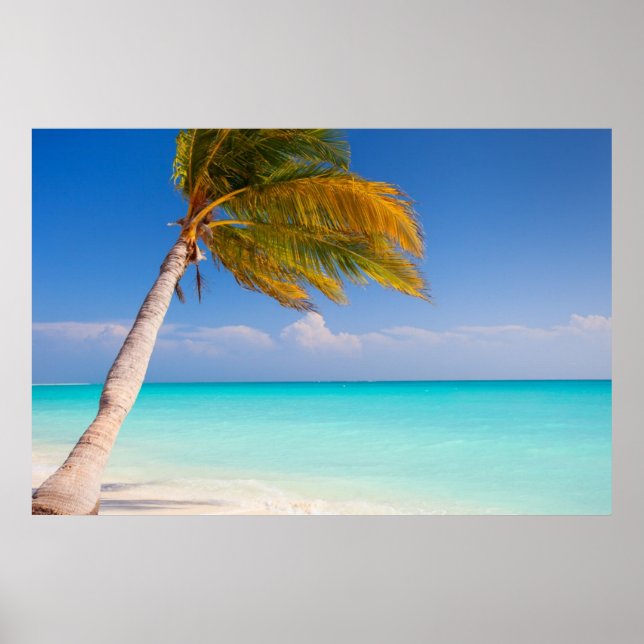 Affiche Palm tree on the ocean beach (Devant)