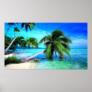 Affiche Palm Tree Tropical Island Beach